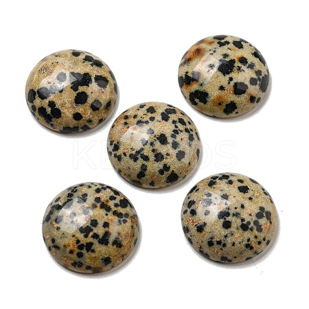 Natural Dalmatian Jasper Cabochons G-C115-02A-21-1