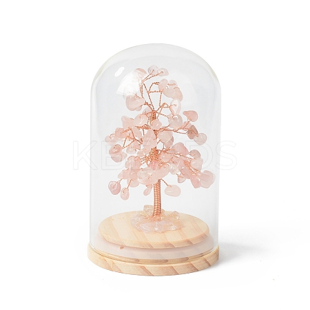 Natural Rose Quartz Chips Money Tree in Dome Glass Bell Jars with Wood Base Display Decorations DJEW-B007-04B-1