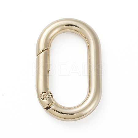 Electroplated Alloy Keychain Clasps LS-PALLOY-G260-01G-1