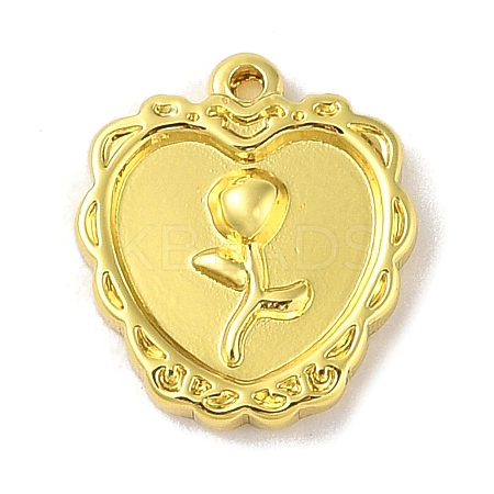 304 Stainless Steel Pendants STAS-A097-23B-G-1