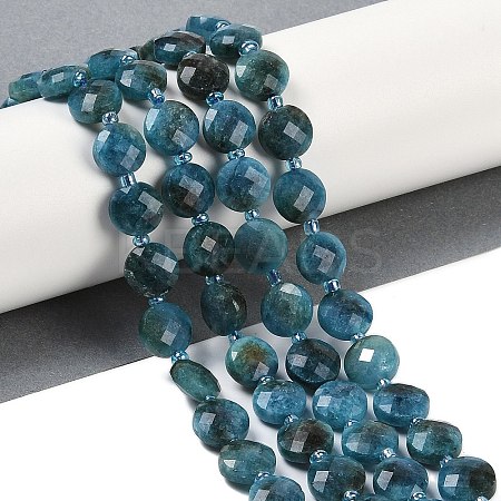 Natural Apatite Beads Strands G-B094-A27-01-1