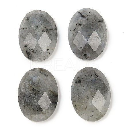 Natural Labradorite Cabochons G-G760-A15-1