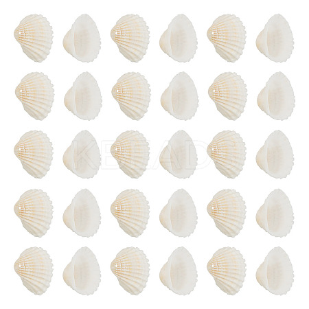 Shell Pendants SSHEL-TA0001-03-1