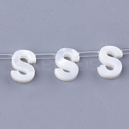 Natural Sea Shell Beads SHEL-T012-60S-1