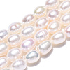 Natural Cultured Freshwater Pearl Beads Strands PEAR-N012-05M-4