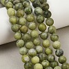 Natural Gemstone Beads GSR032-8