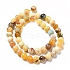 Natural Yellow Opal Beads Strands G-G992-A02-C-4