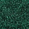 Transparent Colours Glass Round Seed Beads SEED-B001-06A-09-3