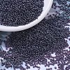 MIYUKI Round Rocailles Beads X-SEED-G007-RR0171-1