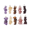 10Pcs 5 Colors 12 Constellation Natural Citrine & Tiger Eye & Amethyst & Strawberry Quartz & Garnet Pendants PALLOY-JF02839-11-1
