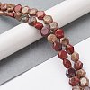 Natural Red Rainbow Jasper Beads Strands G-K359-C09-01-2