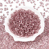 Baking Paint Transparent Glass Seed Beads SEED-N006-05F-2