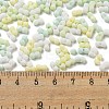 Macaron Color Opaque Frosted Glass Seed Beads X1-SEED-K009-12B-04-4