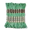 10 Skeins 6-Ply Polyester Embroidery Floss OCOR-K006-A25-1