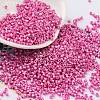 Baking Paint Glass Seed Beads X-SEED-S042-15B-27-1