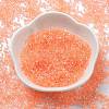 Transparent Colours Glass Seed Beads SEED-H003-01B-2
