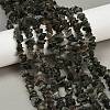 Natural Green Rutilated Quartz Beads Strands G-Q060-C03-2