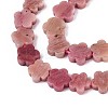 Natural Rhodonite Beads Strands G-N257-24A-09-4
