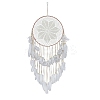 Woven Web/Net with Feather Wall Hanging Decorations PW-WG47321-01-3