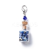7 Chakra Tumbled Gemstone Chips Filling Wishing Bottle Pendant Decorations HJEW-JM00779-2
