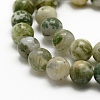 Natural Tree Agate Beads Strands G-K194-10mm-02-4