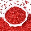 Baking Paint Glass Twist Bugle Beads SEED-C004-02Q-2