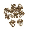 Tibetan Style Pendants LS-TIBEP-K063kg-AB-NR-4
