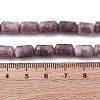 Natural Lepidolite Beads Strands G-F808-B01-01-5