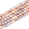 Natural Cultured Freshwater Pearl Beads Strands PEAR-N027-01A-2