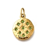304 Stainless Steel Rhinestone Pendants STAS-R159-54G-03-1