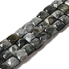 Natural Eagle Eye Stone Beads Strands G-C109-A15-02-1