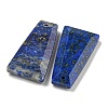 Dyed Natural Lapis Lazuli Pendants G-G123-02E-2