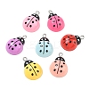Opaque Resin with Alloy Pendants RE-CBA14F0-04-1