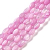Natural Trochus Shell Beads Strands SHEL-K006-19A-1