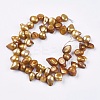 Natural Baroque Pearl Keshi Pearl Beads Strands BSHE-P026-32-2