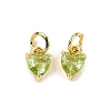 Brass Micro Pave Cubic Zirconia Charms KK-P192-08-G10-1