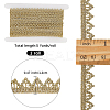 5Yards Polyester Lace Trim Ribbons OCOR-GF00005-12B-2