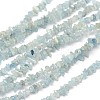 Chips Natural Aquamarine Beads Strands G-N0164-51-1