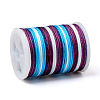 Segment Dyed Polyester Thread NWIR-I013-B-13-2