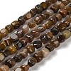 Natural Petrified Wood Beads Strands G-P497-01E-72-1