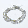 Natural Labradorite Beads Strands LS-G-K203-12-2