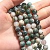 Natural Tree Agate Beads Strands X-G-H1633-8MM-5