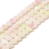 Handmade Lampwork Beads Strands LAMP-Q035-01B-1