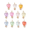 Transparent Acrylic Pendants PALLOY-JF03346-1