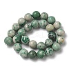 Natural Green Spot Jasper Beads Strands G-F818-A05-14mm-3