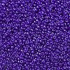 MIYUKI Round Rocailles Beads SEED-G007-RR0176-3