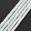 Sea Shell Beads Strands SSHEL-T014-49-2