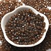 Picasso Baking Paint Glass Seed Beads SEED-A032-02A-18-2