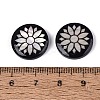 Acrylic & Natural Freshwater Shell Cabochons OACR-N164-06-3