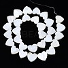 Natural Freshwater Shell Beads Strands X-SHEL-N027-21-2